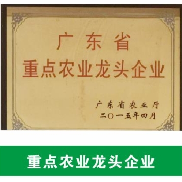 廣東省重點(diǎn)農(nóng)業(yè)龍頭企業(yè)